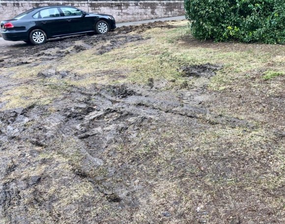 PS/IS 217 Strengthens Its Hold As Roosevelt Island's Worst Neighbor PS/IS 217's now mud-scarred lawn teaches local children that free parking comes first over community esthetics.